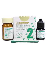 GC Gic Universal Type 2
